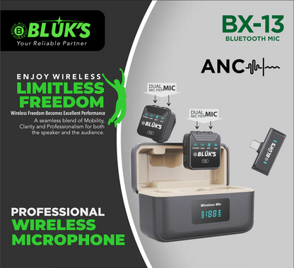 BX-13 | ANC | Double | Charging Case | IPhone & Type C Connector